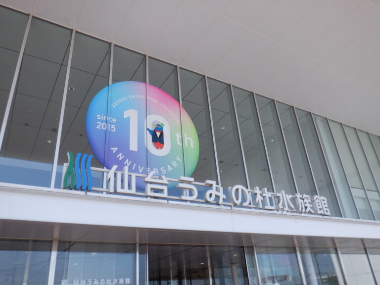 遊ぶんじゃない！調べに行くんだよ！