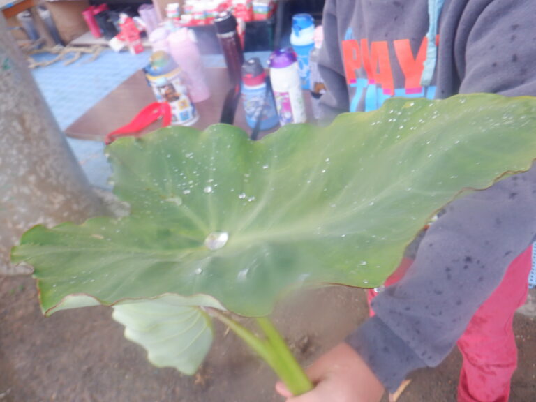 やりたい事は無限大