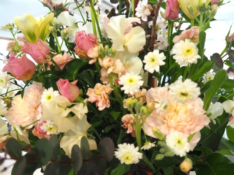 第10回　バオバブの日”卒園編”