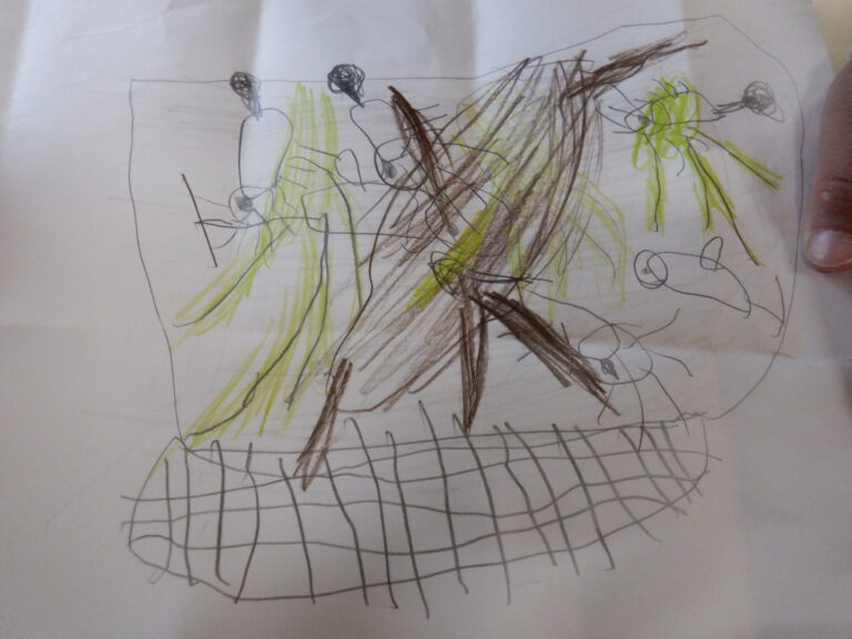 「あんな水槽作りたいなぁ…」