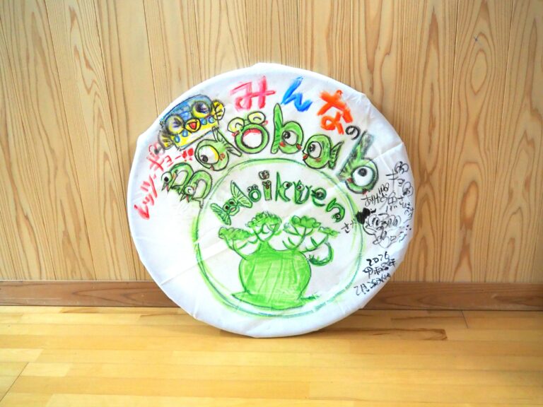 今年度の保育もスタートしました