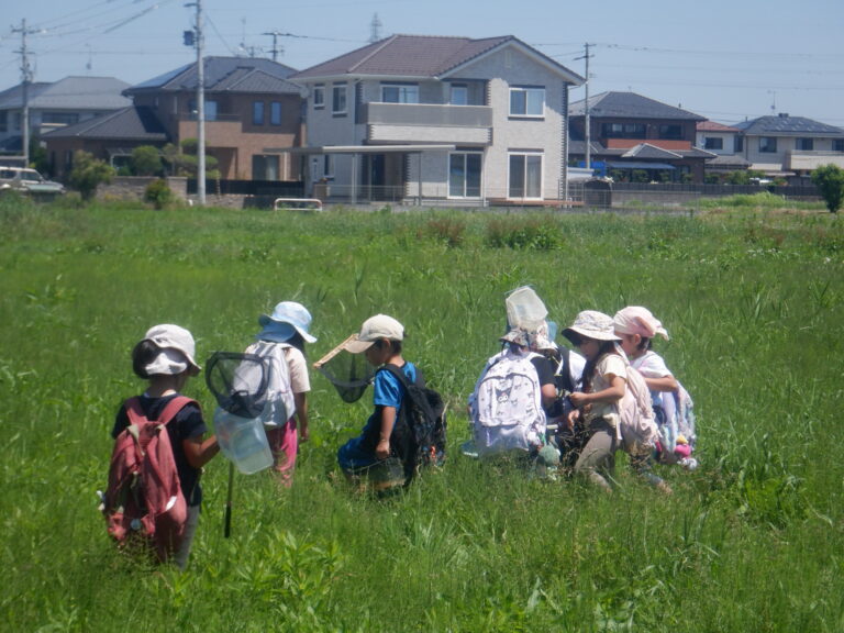よーく観察…