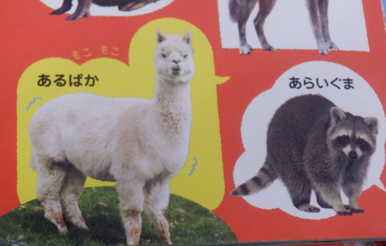 もこまか
