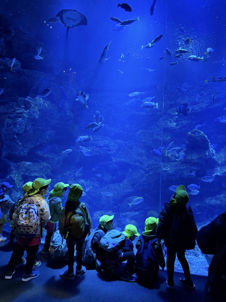 卒園遠足にでかけたよ🚌🐟