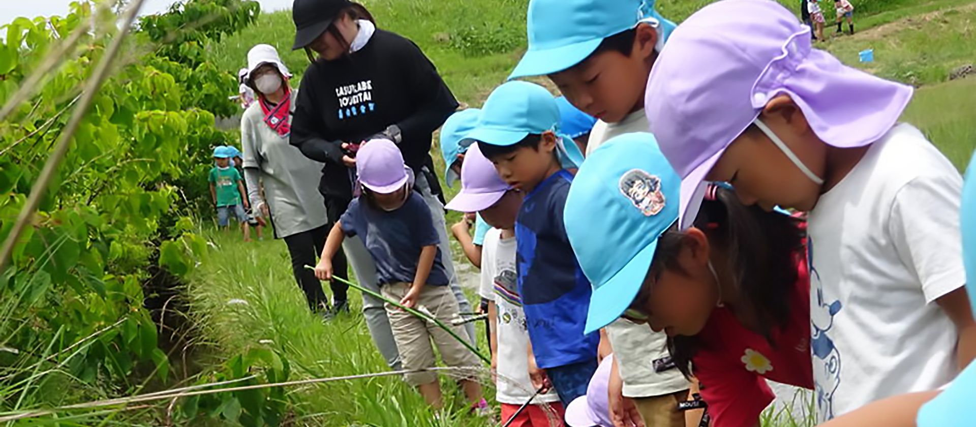 おもしろいことなんでもくじら級