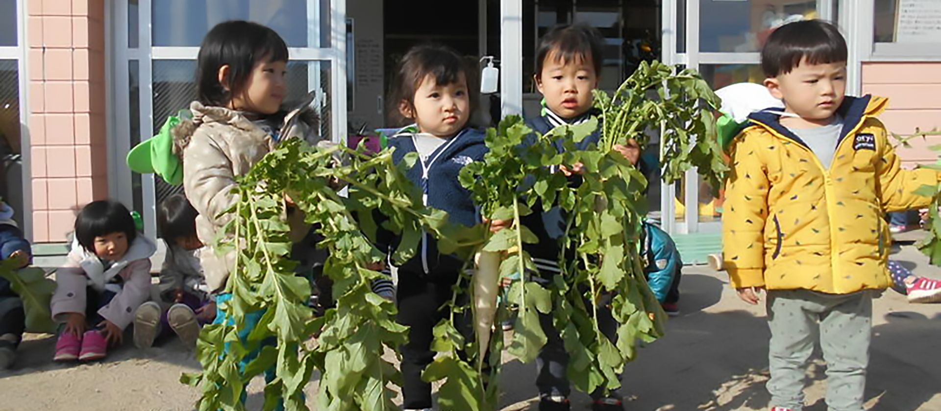 おもしろいことなんでもくじら級