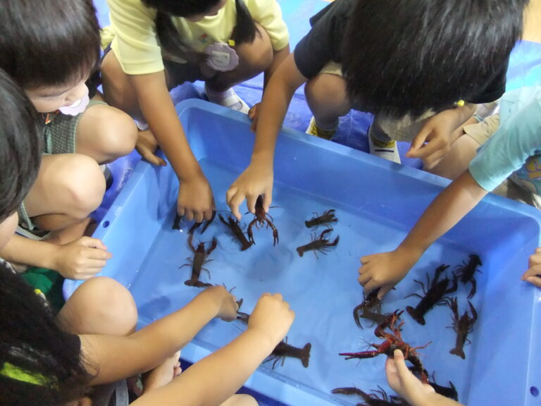 移動水族館「みずみずランド」がやってきた（5歳児）