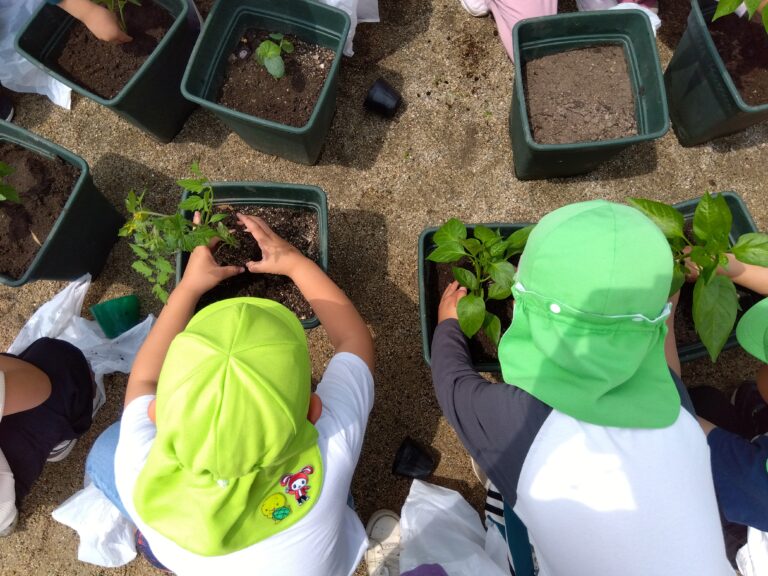 夏野菜を買いに行ったよ！　ほし組・そら組