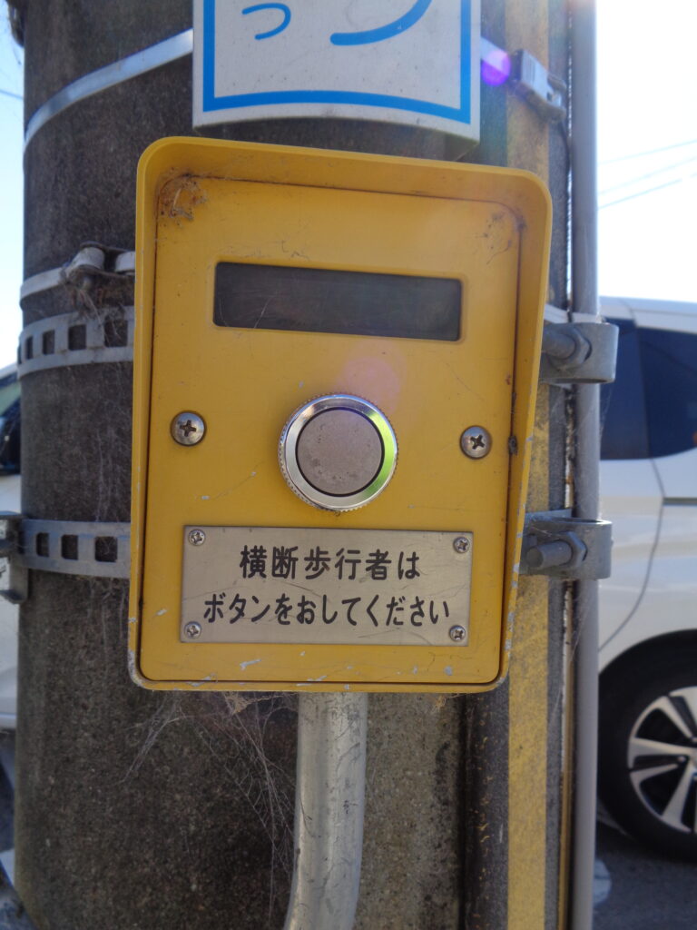 ぼだいじには　どんなかおがいて…？前編　そら組　