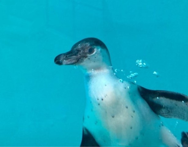 お母さんからの嬉しい・・・♪耳より情報♪