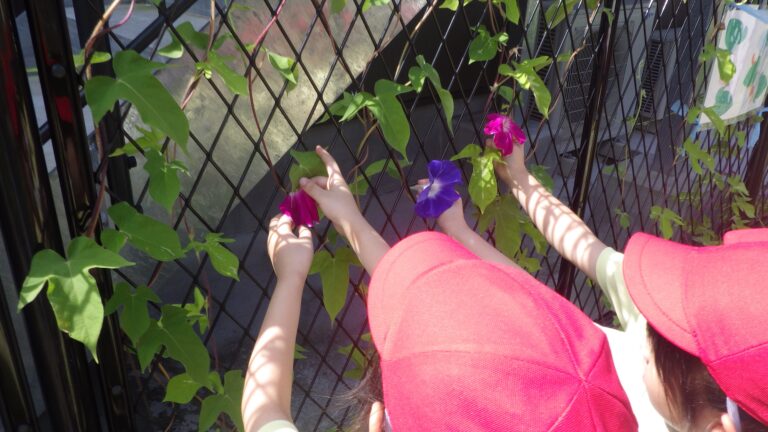 何色になるのかな?