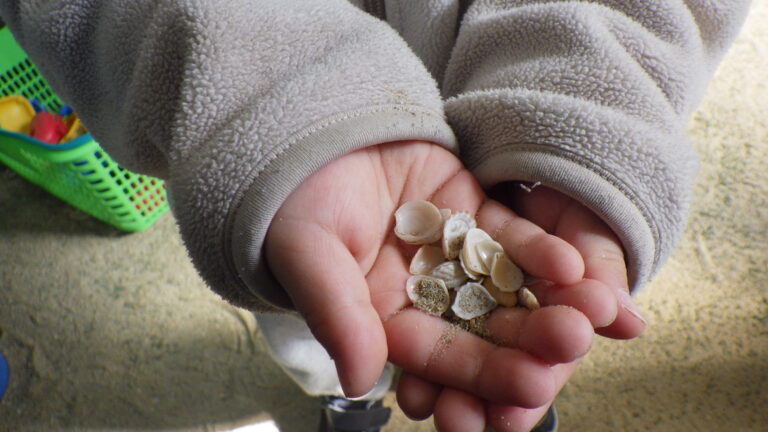 みんなの好きな遊び紹介☆彡