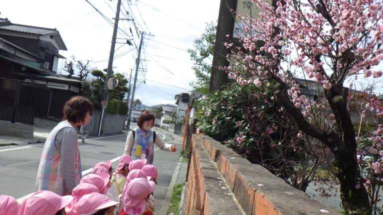 ♪想い出のあめぐみ♬