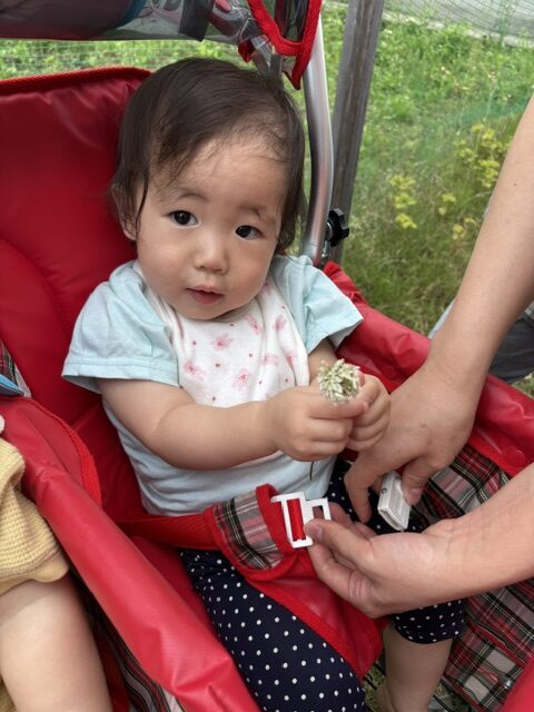 初めてのおいしんぼ畑！（うみ組・０歳児）