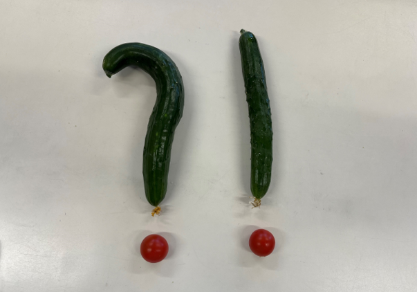 くじら畑より　２０２４．夏☀️