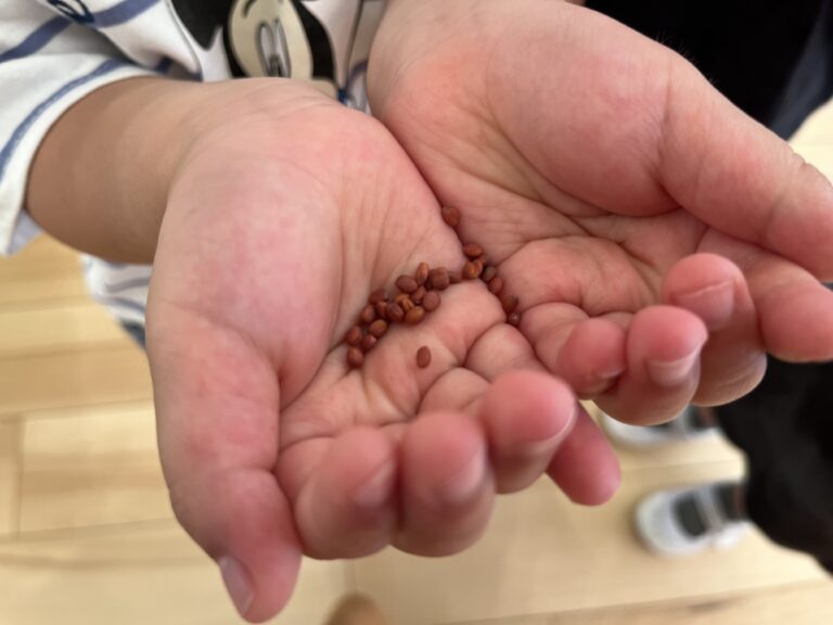 “３回寝たら”のお楽しみ🎶