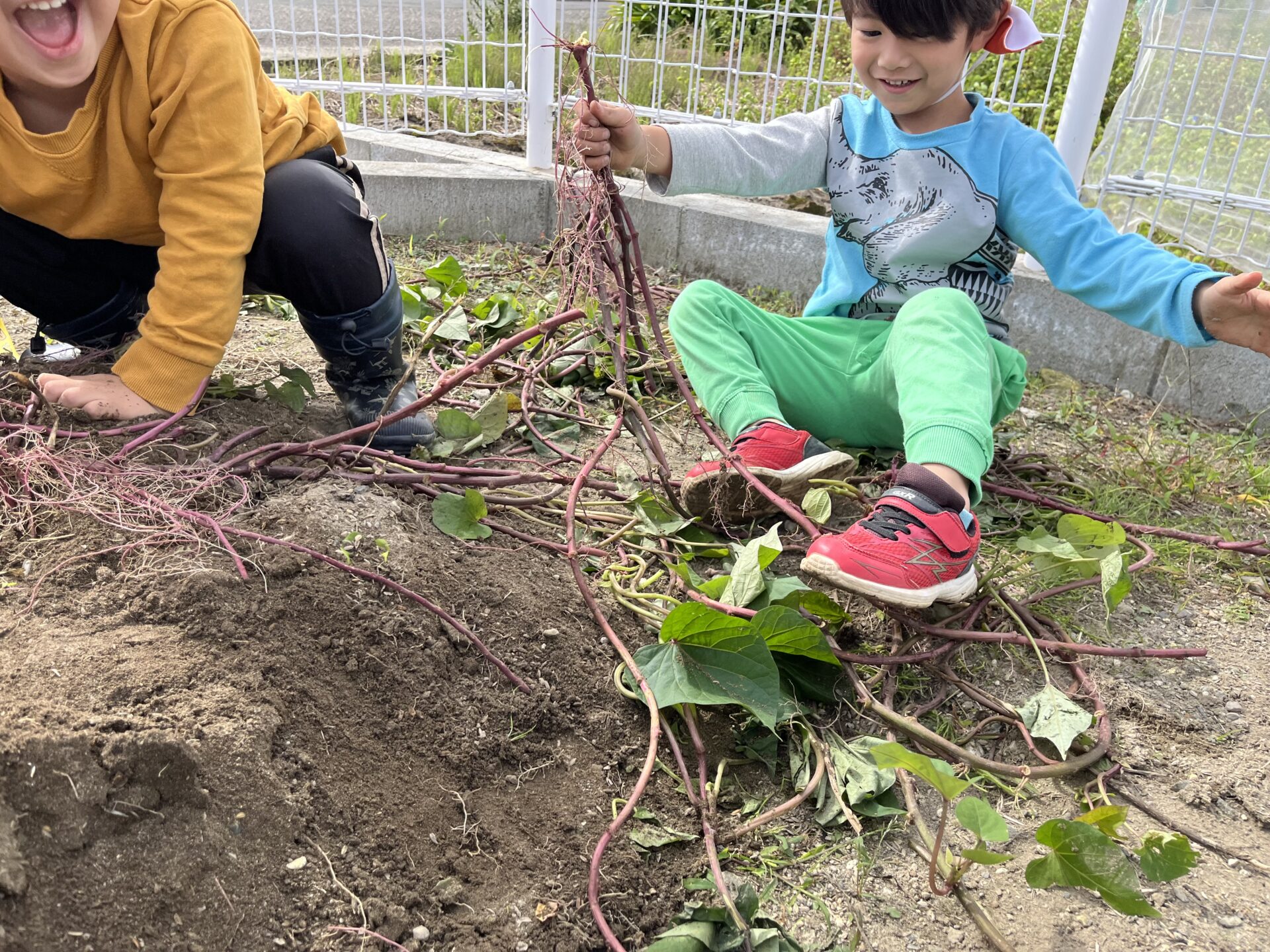 画像に alt 属性が指定されていません。ファイル名: IMG_4710-1920x1440.jpg