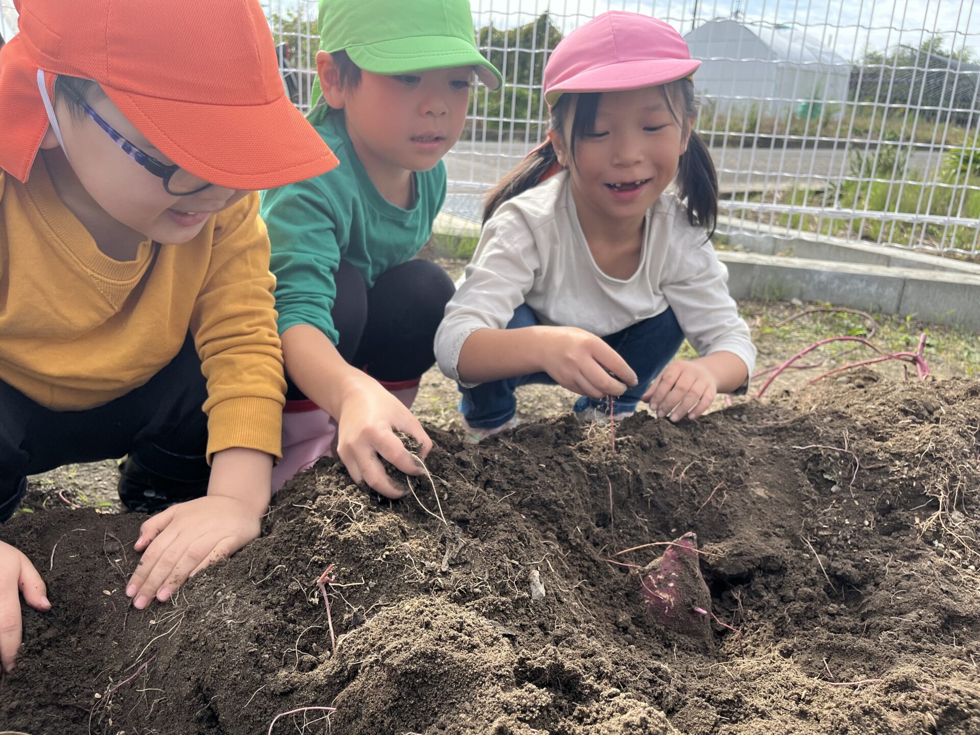 画像に alt 属性が指定されていません。ファイル名: IQML0293-1920x1440.jpg