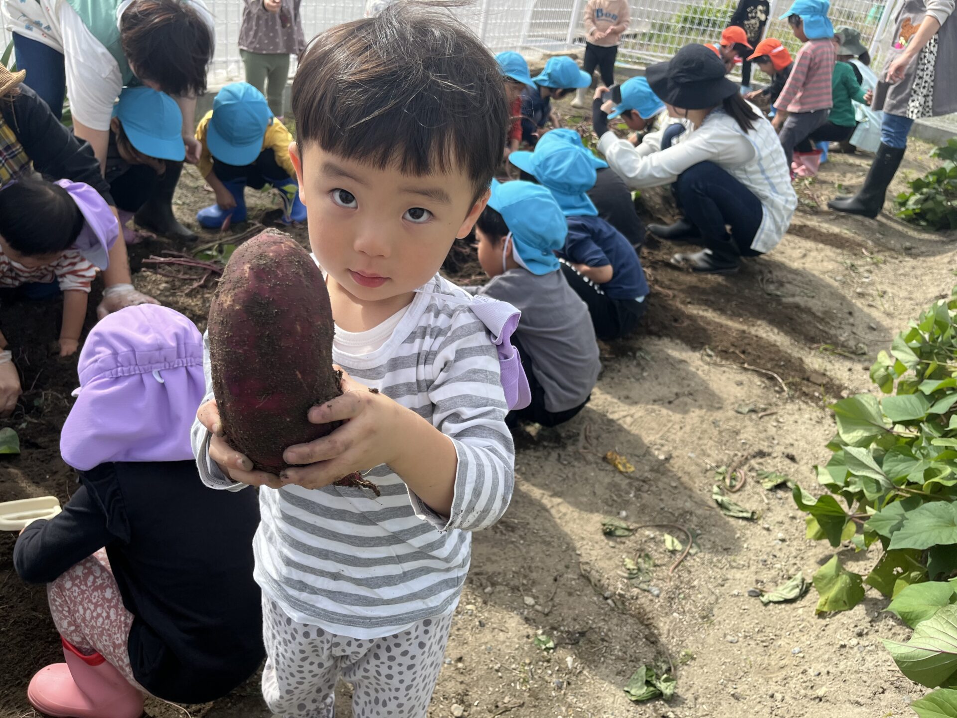 画像に alt 属性が指定されていません。ファイル名: LEMI3215-1920x1440.jpg