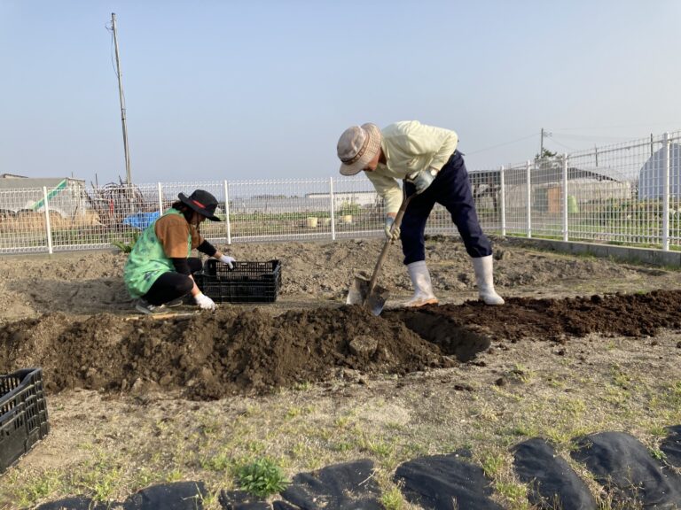 くじら畑スタート