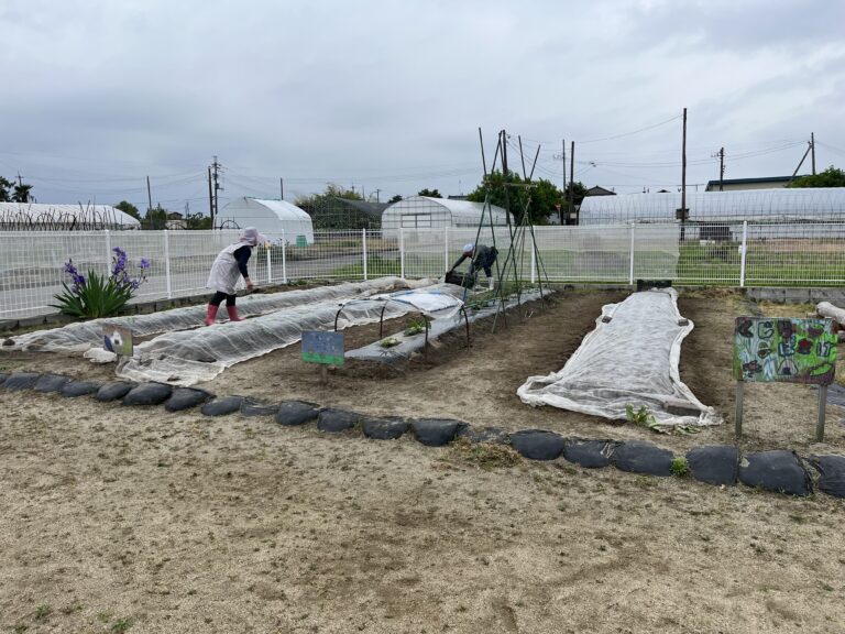 くじらの仲間🐋