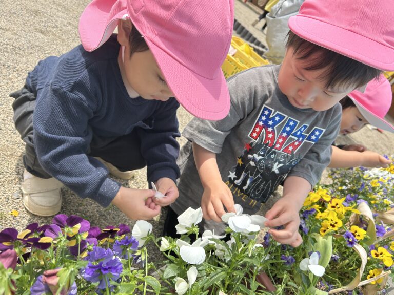 ほんわかな日常(2歳児　にじ組)
