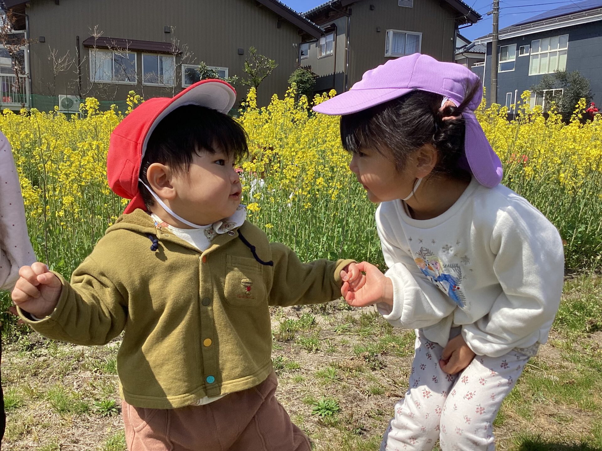 おもしろいことなんでもくじら級