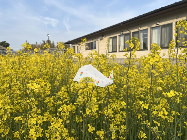 輪になって遊ぼう🎵　～菜の花交流会～