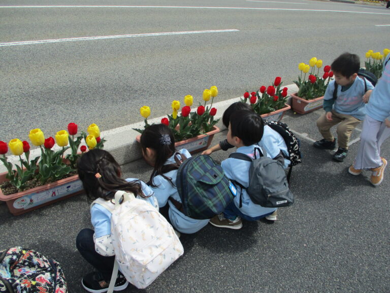 さいた～さいた～🌷