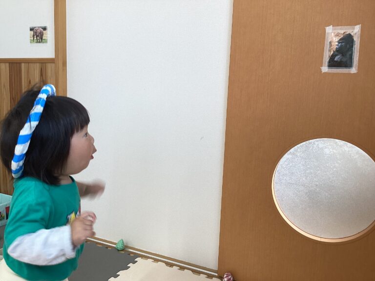 どうぶつさん～みいつけた🐵(うみ組　1歳児)