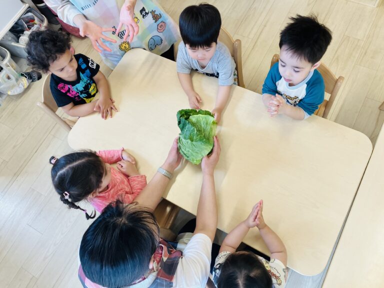 はじめての食育🥬
