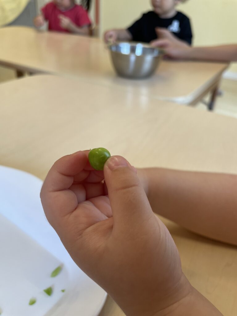 5月の食育🌱