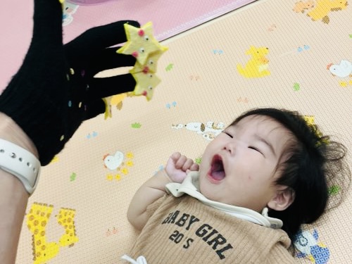 こあら組🐨の様子