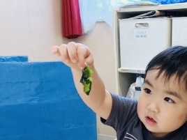 6月の食育🌱