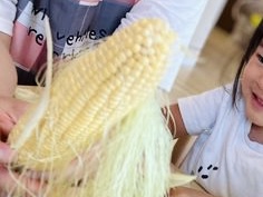 7月の食育🌽