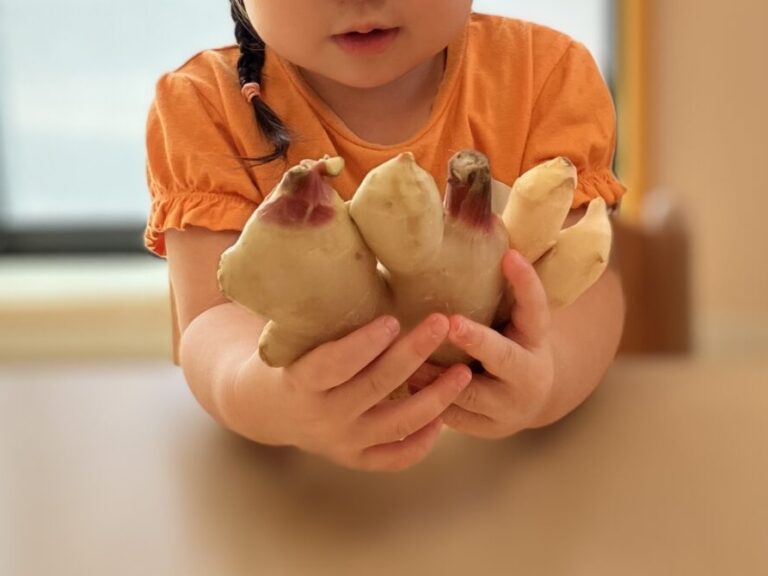 8月の食育🫚