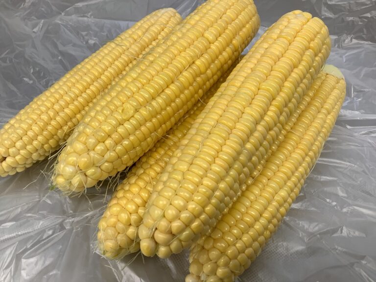 ゴールドラッシュ！