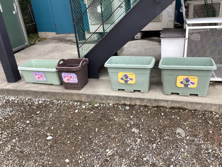 かなでぐみ　〜お花の栽培〜