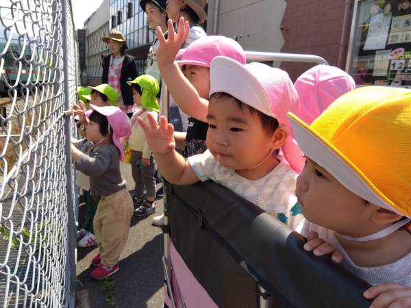 お散歩に行きました🌺