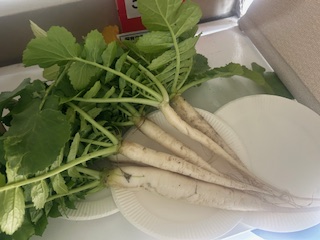 うんとこしょ！どっこいしょ！