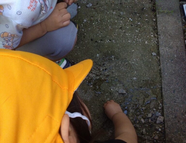 みて、みて！なにか いるよ