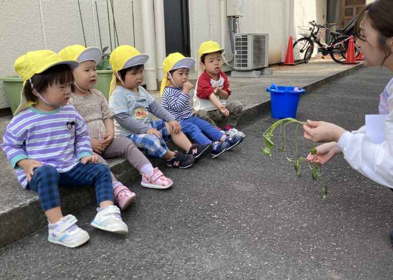 お芋さん、おおきくなーれ🍠