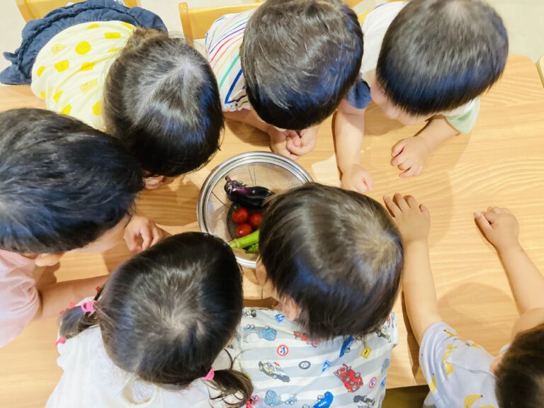 おやさい、大きくなったよ！