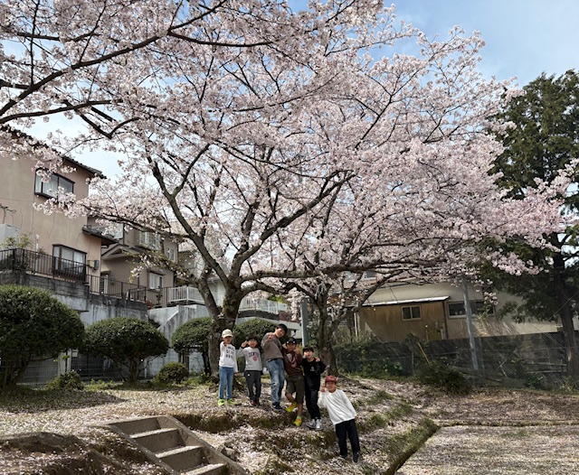 4月のこどもたち🌸