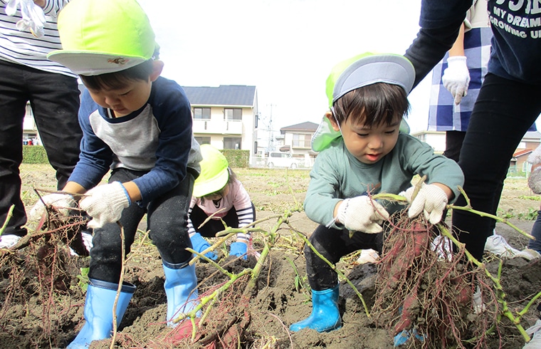 食育活動<br />
野菜を育て収穫の喜びを感じることで、<br />
食への興味を育みます。<br />
そして、苦手な野菜も食べてみようかなと<br />
思える気持ちを引き出します。