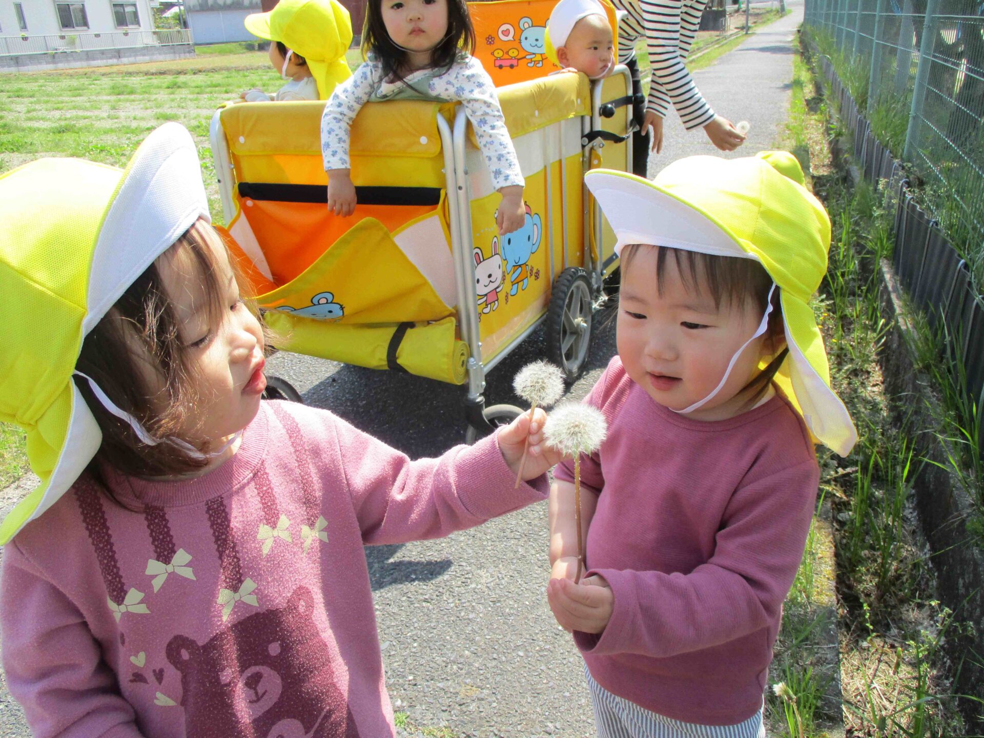 おもしろいことなんでもくじら級