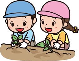 わくわく💓さつまいも苗植え体験🌱✨(2歳児あめチーム)