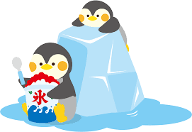 夏のお楽しみ🐧✨(全チーム)