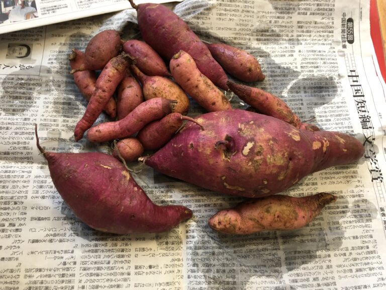 【にじ・そら・くじら】さつまいもクッキング🍠