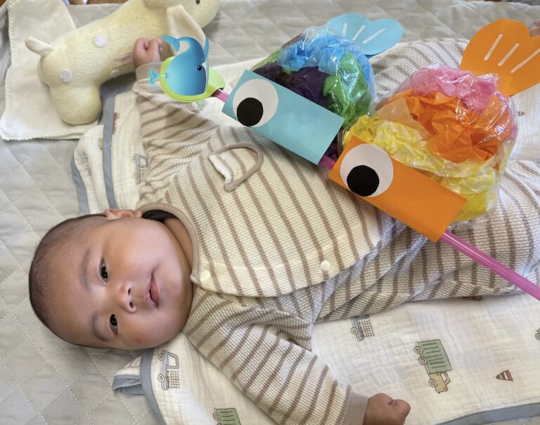 令和７年度　園庭開放「くじらっこひろば」